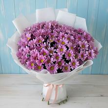 Букет сиреневая охапка в Ярославле Букет цветов из:  Хризантемы в Ярославле