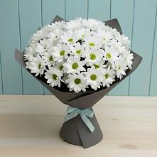 Букет цветов из:  Хризантемы #REPLACE_PRED# Ярославле